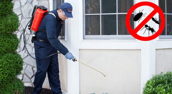 Bakırköy Böcek ve Haşere İlaçlama böcek ilaçlama ve haşere kontrolü — ilaclama-tr.com
